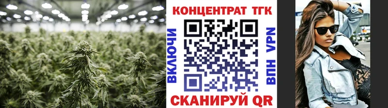 mega tor  Шумиха  Дистиллят ТГК гашишное масло 