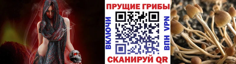 Галлюциногенные грибы Magic Shrooms  Шумиха 